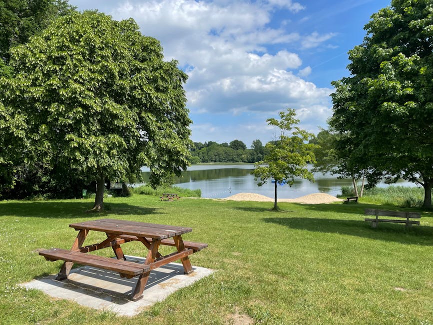 The image shows a peaceful lakeside scene on a bright, partly cloudy day. In the foreground, there is a wooden picnic table with attached benches, positioned on a small concrete slab on the grassy area. The table and benches have a smooth, polished finish and are made of dark brown timber. To the right of the table, a small, young deciduous tree with light green leaves stands alone, surrounded by lush green grass. On the left, a large, mature tree with dense, dark green foliage provides partial shade to the grassy area. In the background, the calm lake reflects the blue sky and scattered white clouds, with a small sandy beach area visible near the water’s edge. Additional trees and greenery line the distant far bank of the lake, creating a tranquil natural setting. The overall scene is well-maintained, with neatly trimmed grass and a serene atmosphere, characteristic of a public park or leisure area. Waste Removal Ruislip occasionally supports such outdoor spaces by providing alternative waste handling solutions, ensuring cleanliness and environmental care in communal outdoor environments.